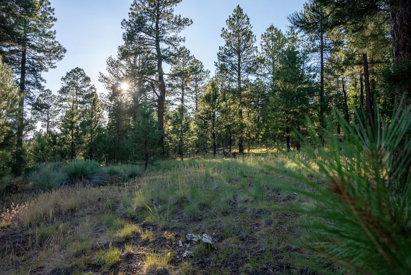 Cibola NM 13,053--93