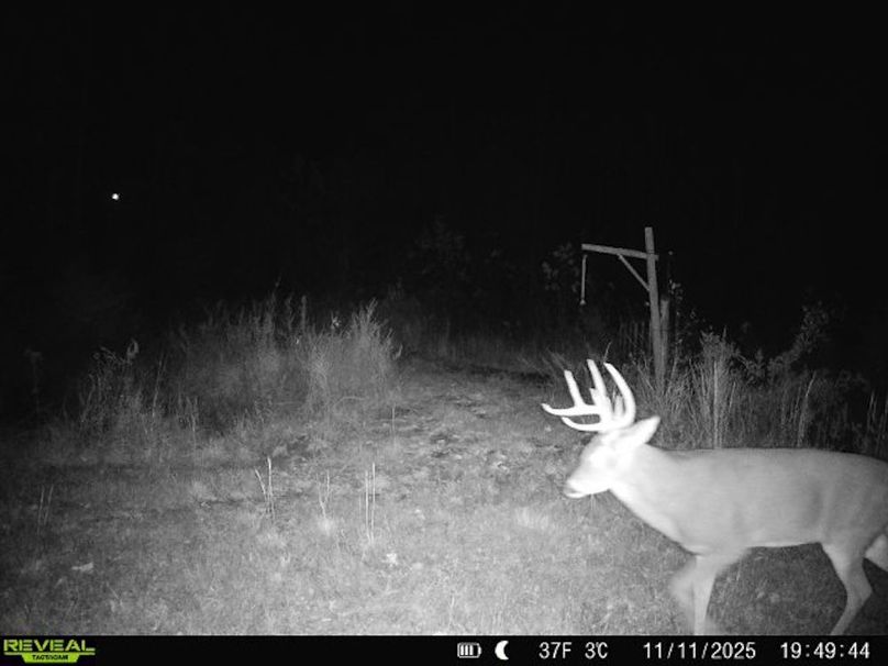 860516067719439-50-4-11112025194944-W1016940