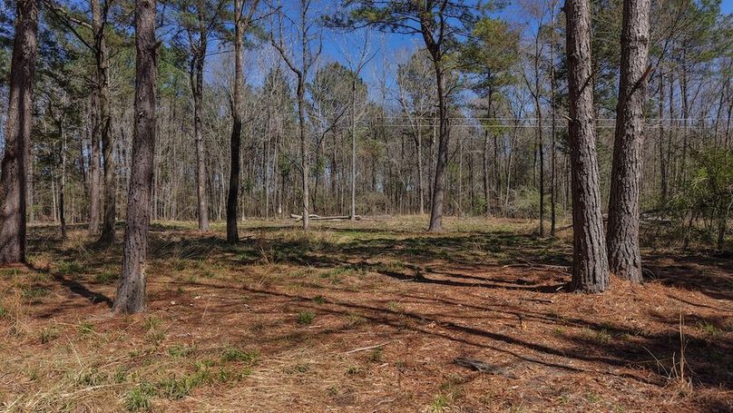 DJI_20260310233218_0015_D