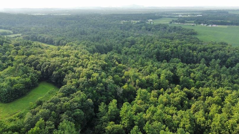 dji_fly_20240715_182748_703_1721086077365_photo_optimized