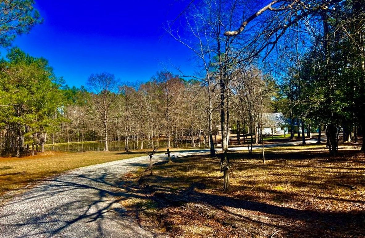 1C54FA5F-2656-4DAE-A080-A5B2EE6C56E0_1_201_a