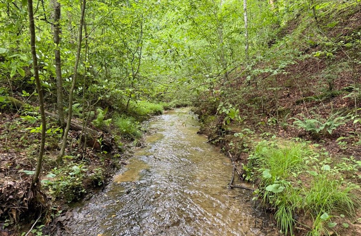 001 blue line stream flowing southward through the property-2