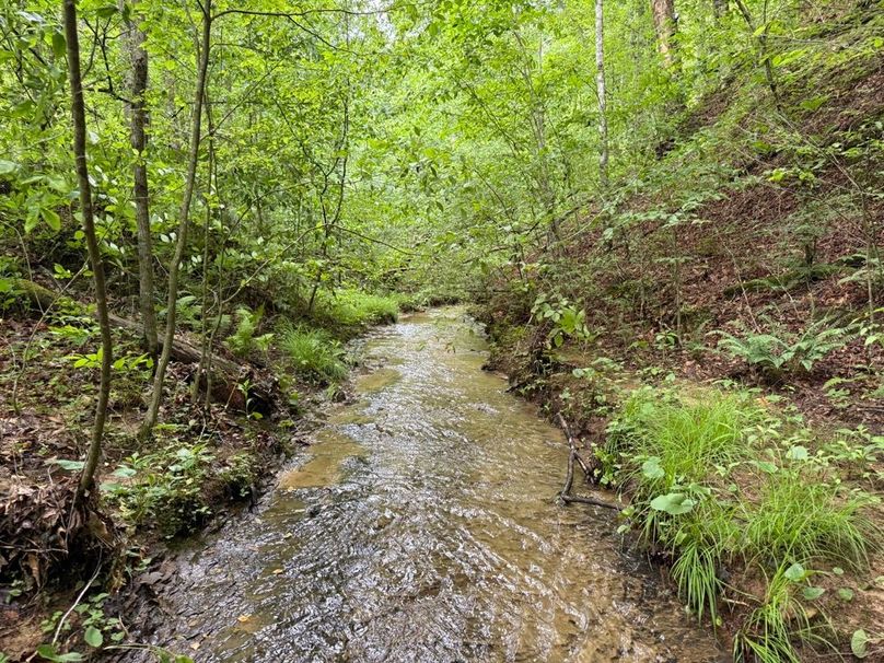 001 blue line stream flowing southward through the property-2