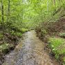 001 blue line stream flowing southward through the property-2