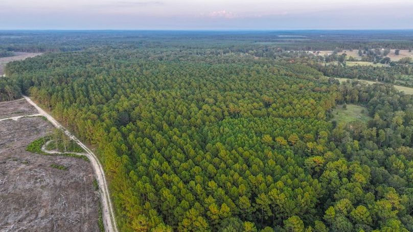 DJI_20250918183439_0234_D