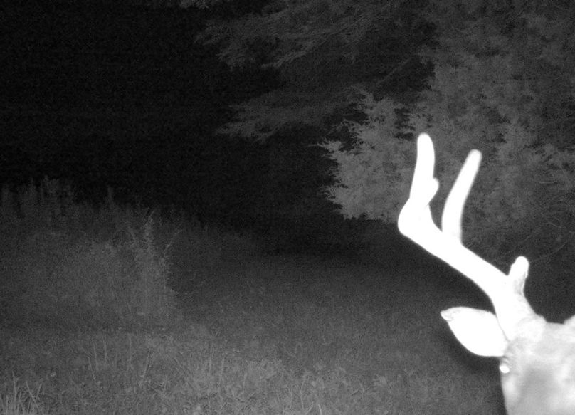 Copy of IMG_3200 Large