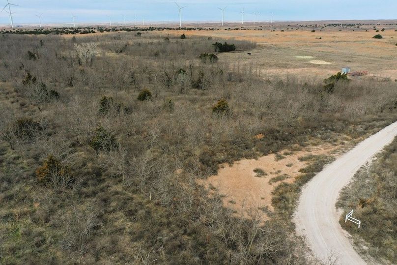 DJI_0576