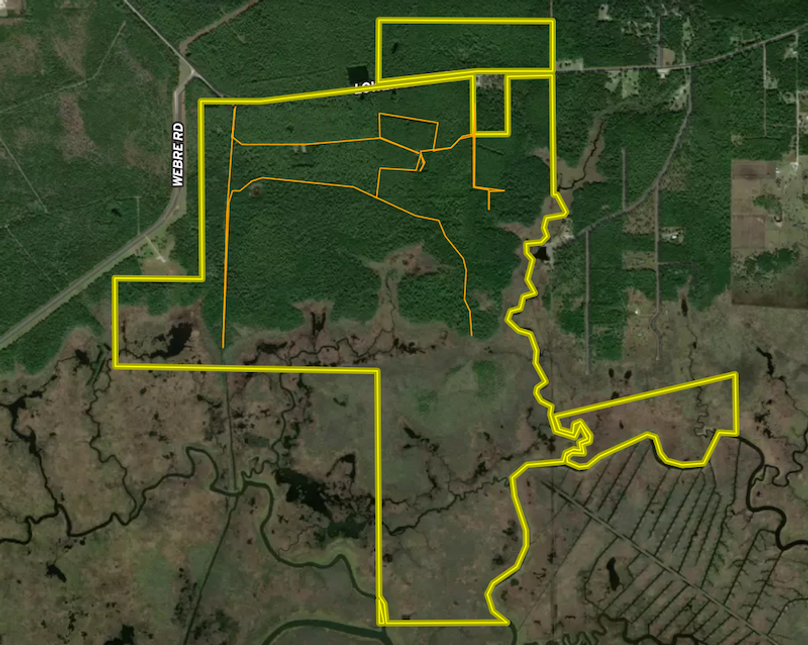 Screen Shot 2025-10-08 at 8.10.13 AM