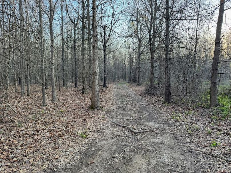 Panola 164.7 SPI Land Ventures-55