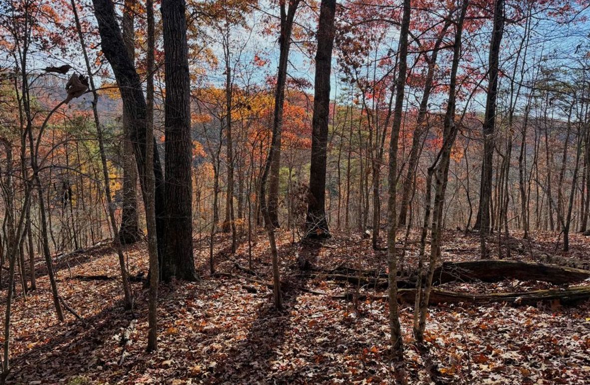 001 breathtaking views from atop the ridge looking over the threemile creek valley-2