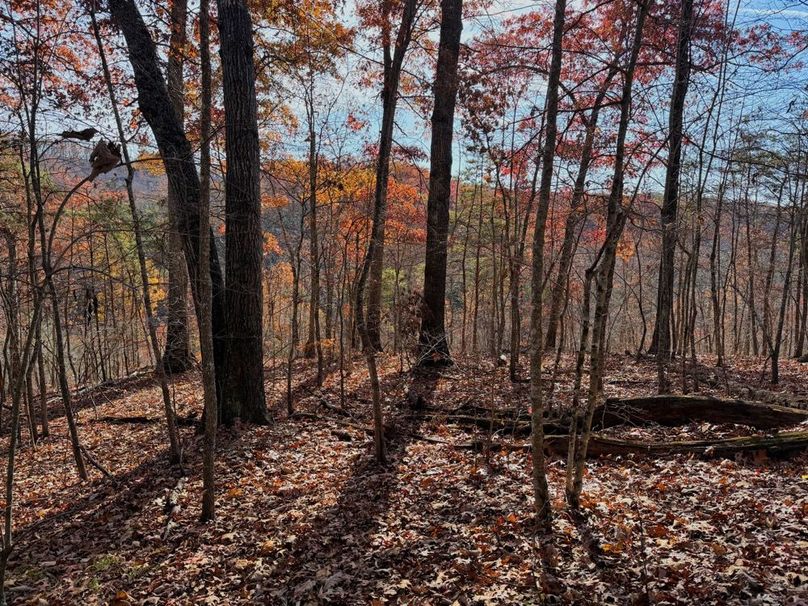 001 breathtaking views from atop the ridge looking over the threemile creek valley-2