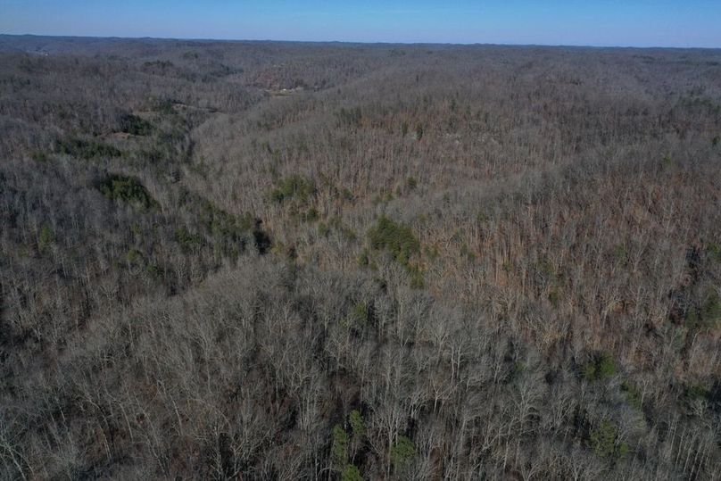 024 aerial drone shot from the south ridge looking north down the valley