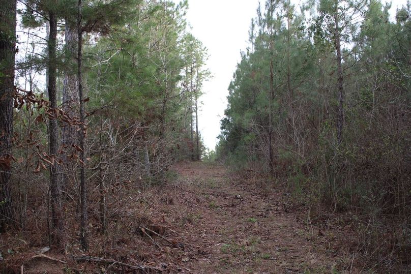 751C88A0-35A9-4E3E-8458-5F17384944CC_1_105_c