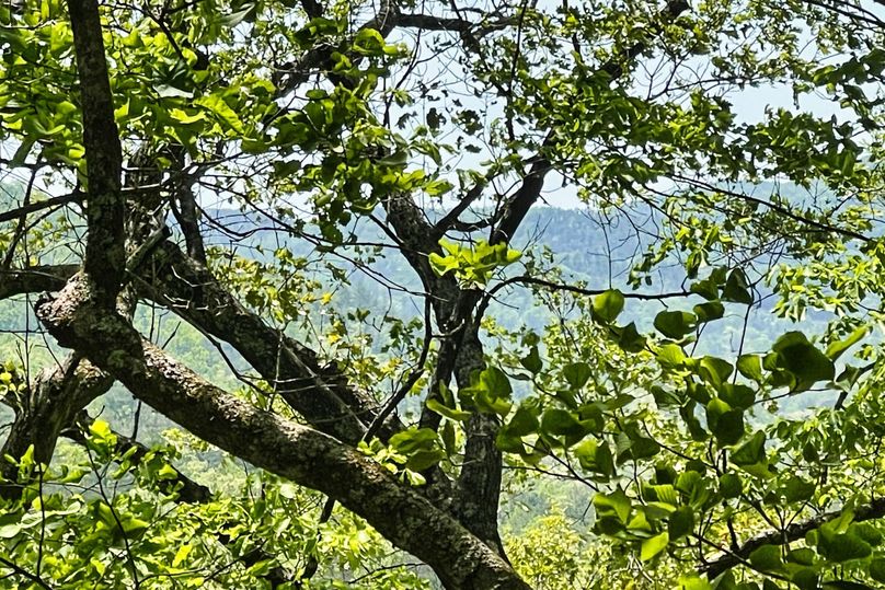 24 Mountain Views 06