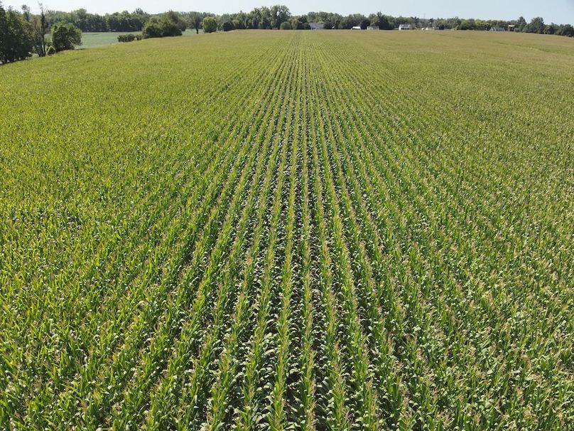 DJI_20240823235638_0019_V