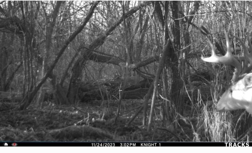 Screenshot_20240319_111200_Gallery