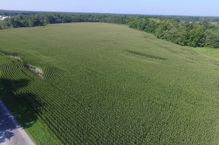 DJI_0028