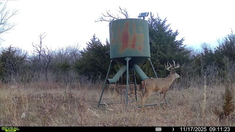 016578004503154-100-2-11172025091123-SYFW19771