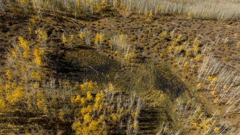 Copy of DJI_0488
