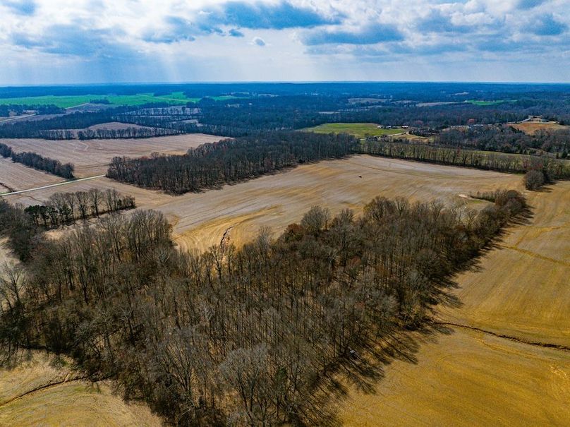 Gibson County Tract 1-4