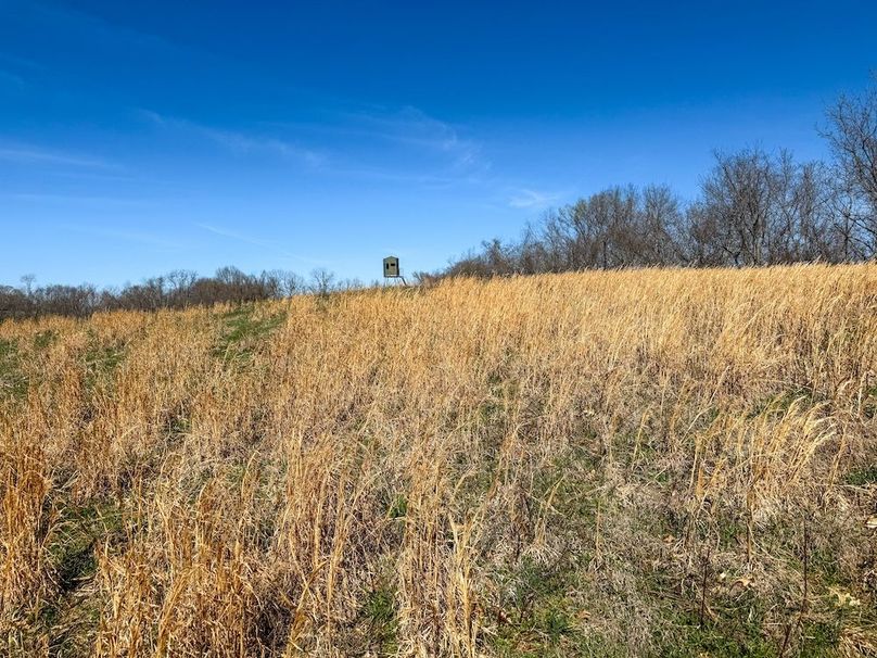 Fleming Petry 115-25