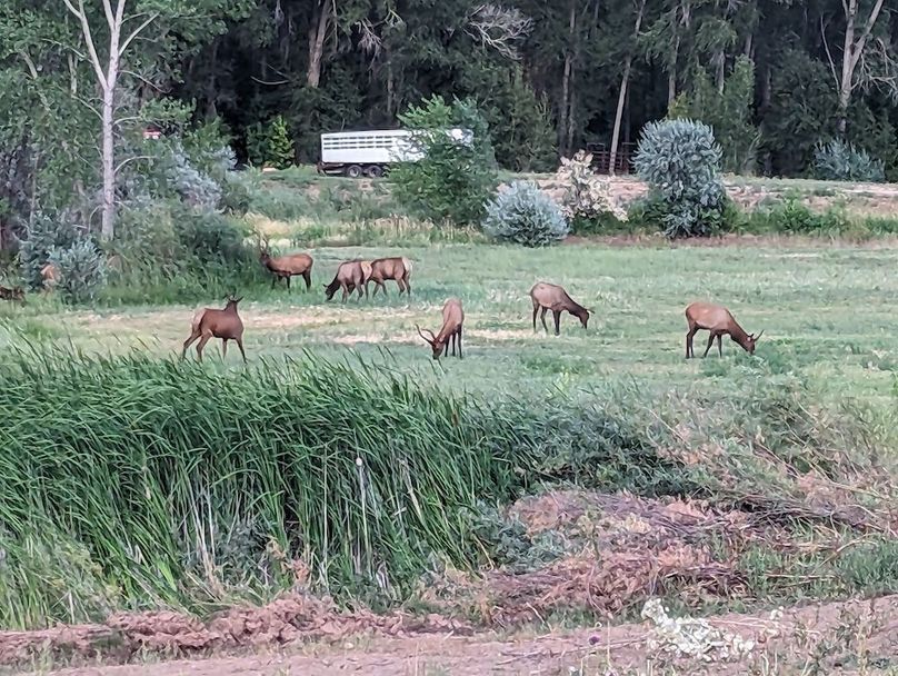 PXL_20230821_011552686 (1)