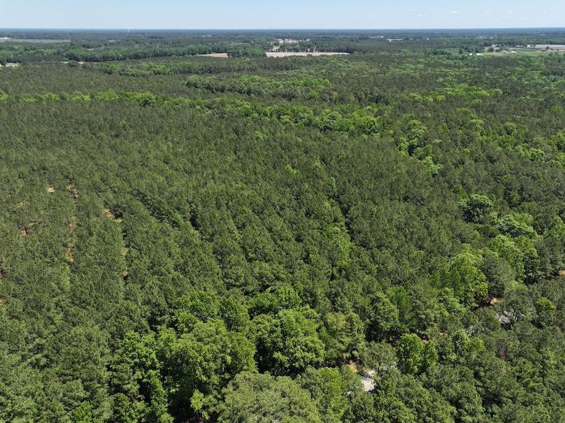 dji_fly_20260508_124836_0708_1778332827221_photo