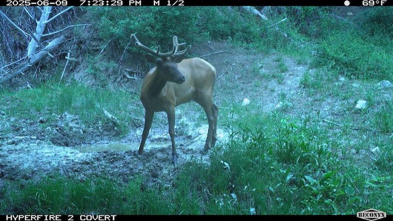 0DB0E024-45EE-4CA2-8328-1C7CCC45B891