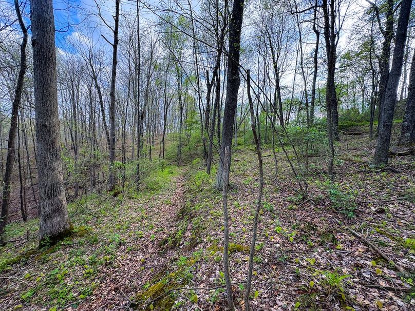 Calhoun, WV 132.84 AC Szegi 2-126