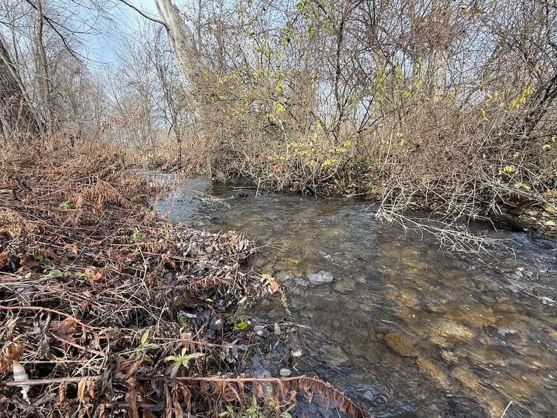 Tompkins_15.15_Galarza Photo 19