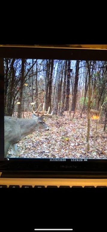 IMG_3359_1705588989245