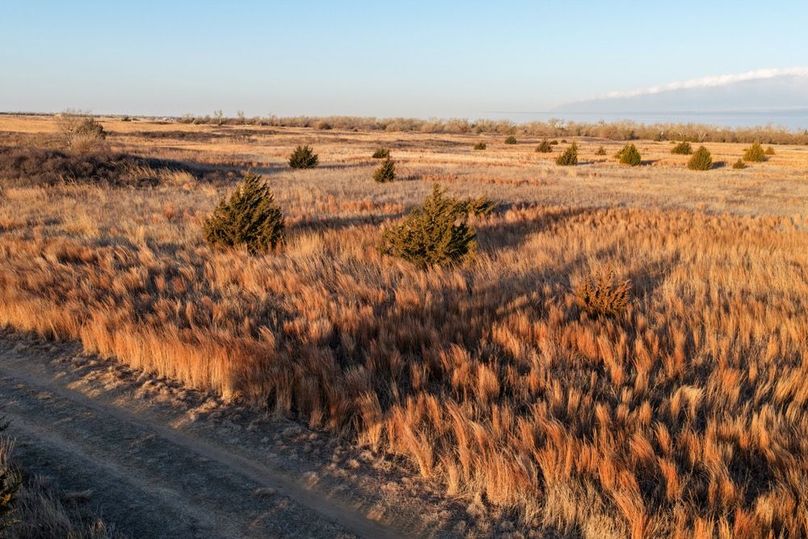 DJI_20260311082637_0538_D