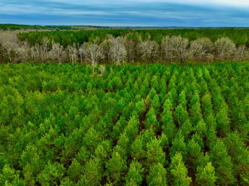 382A353B-CC28-4F84-9401-5867F0C590C5_1_105_c