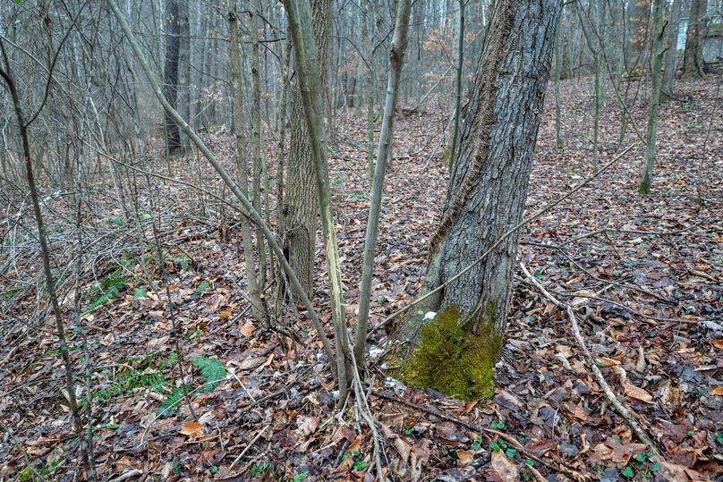 Copy of DSC_4544-Edit Large