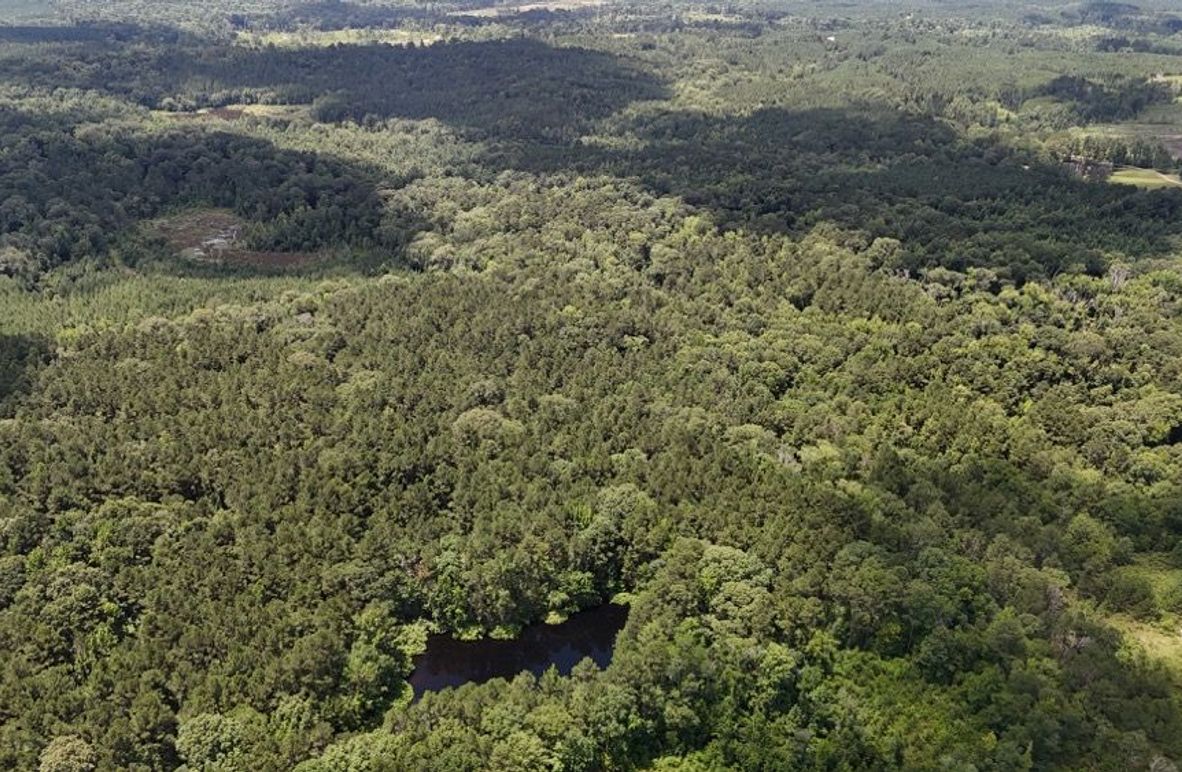 DJI_20250625011532_0674_D