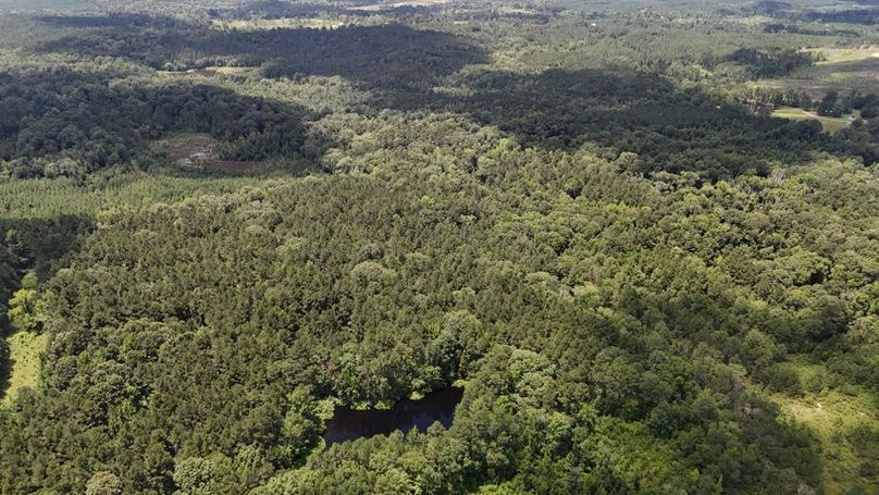 DJI_20250625011532_0674_D