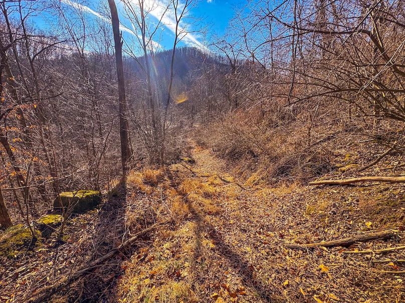 Lewis, WV 82.87 AC Barger-09