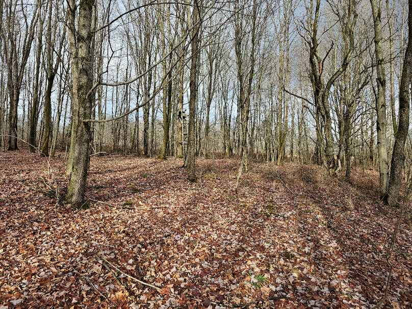 photo_19369cda-22b9-43f3-84d8-3c8e09b52e80