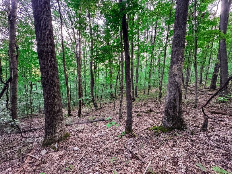 Webster, WV 42 AC Barger-27