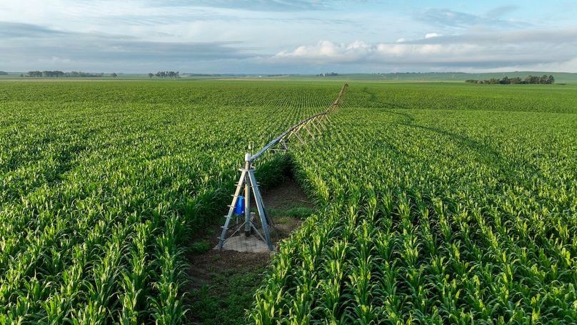 Copy of Copy of DJI_0384