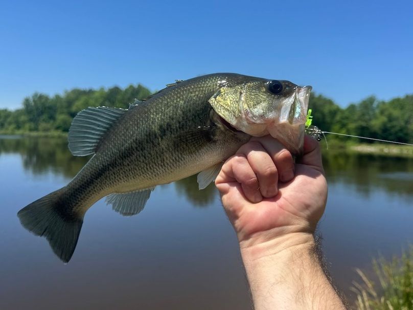 FD94D54D-43F1-42FD-87E9-BFC3035AA9C3