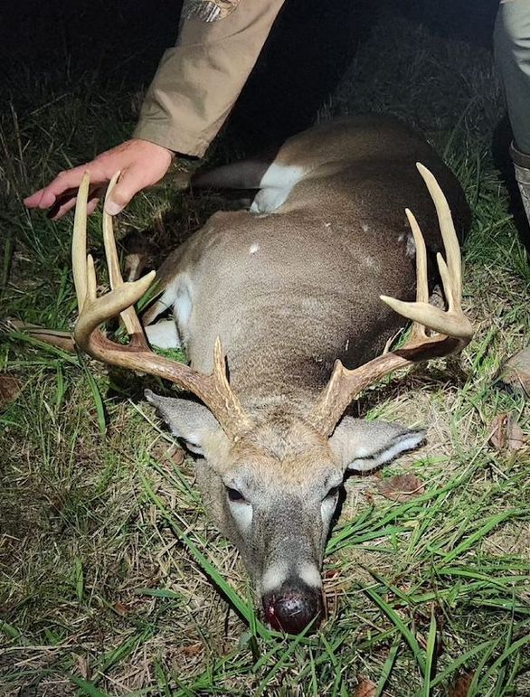 a9720145-e1af-41c4-8af5-10152574409e