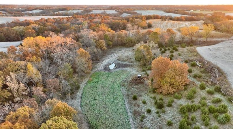 Screenshot 2025-11-20 at 10.07.12 AM