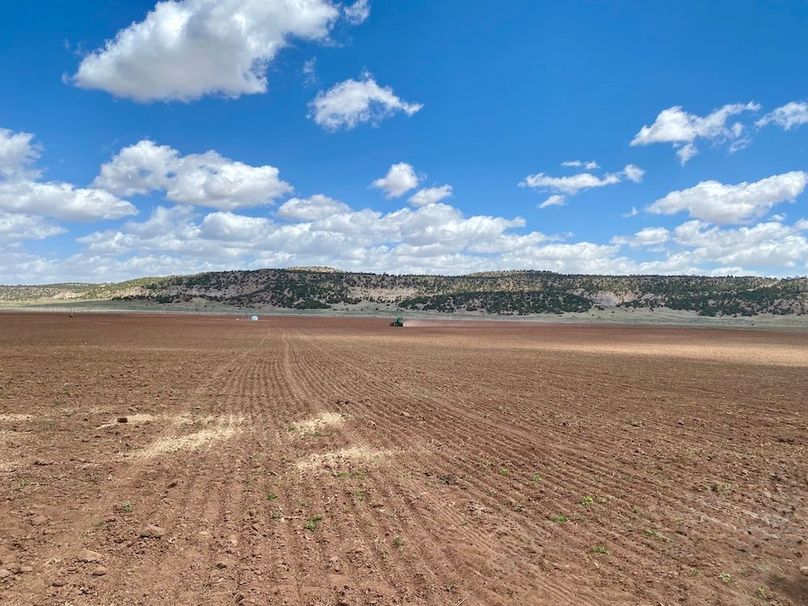 22.1_Pratt Hay Field disced