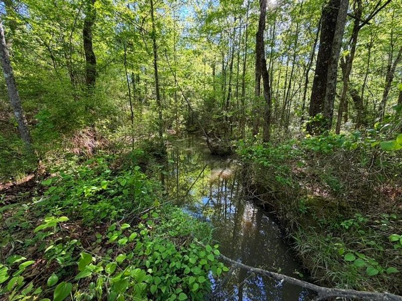 8B813F1A-2C10-4F5B-A253-D21EC5122521_1_105_c