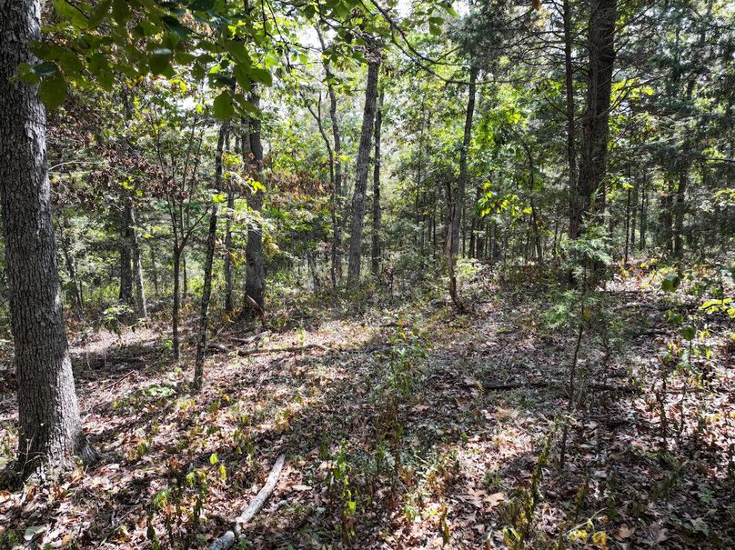 DJI_20250904124617_0585_D