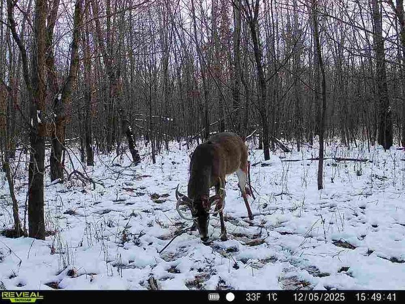 860516067589287-100-2-12052025154940-V-W1000057