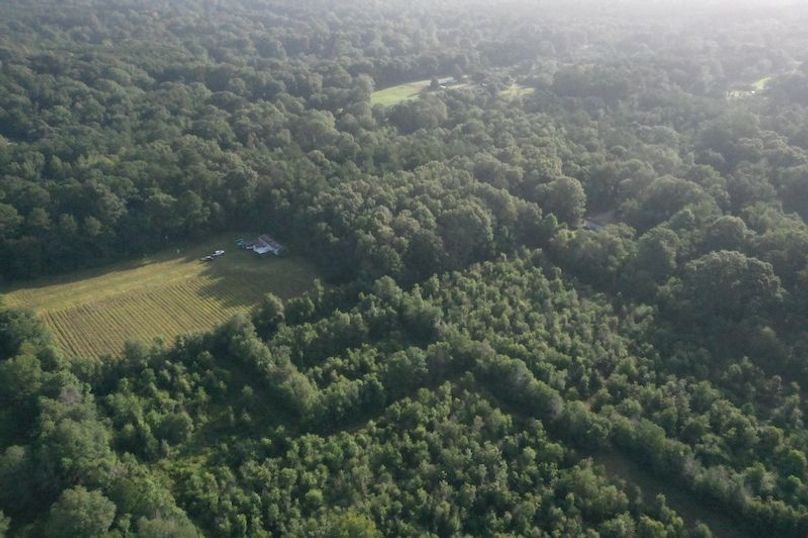 DJI_0617