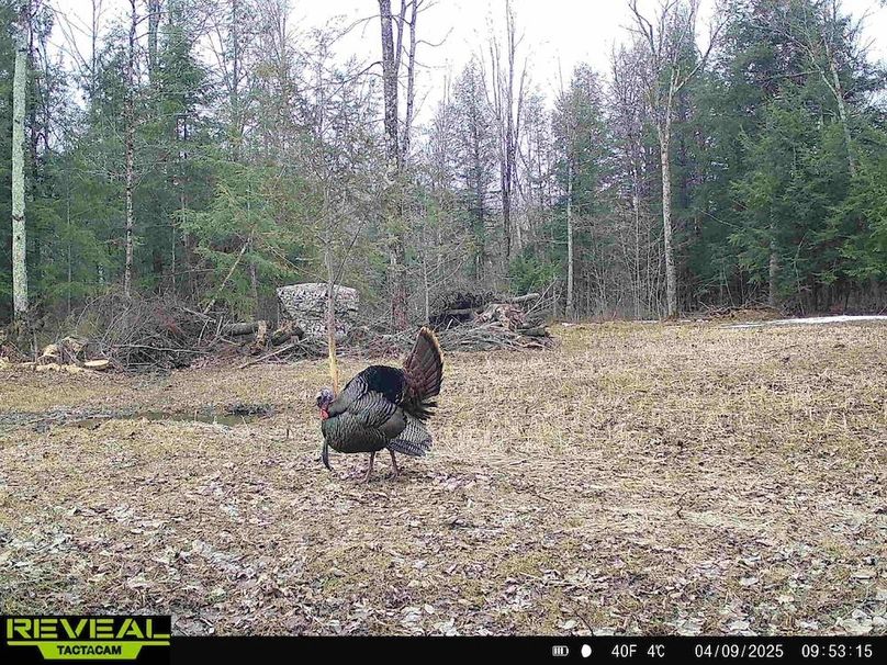 865814048724973-60-3-04092025095314-HD-W1013516