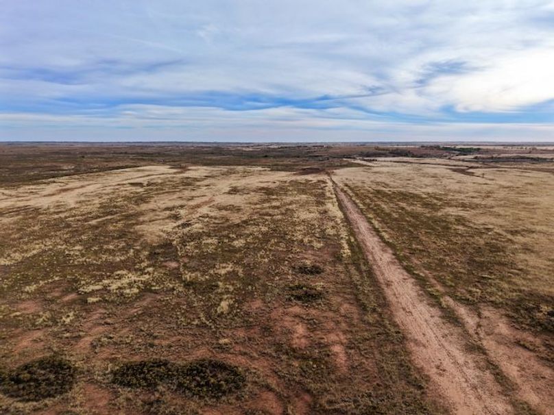 DJI_20251118161250_0059_D